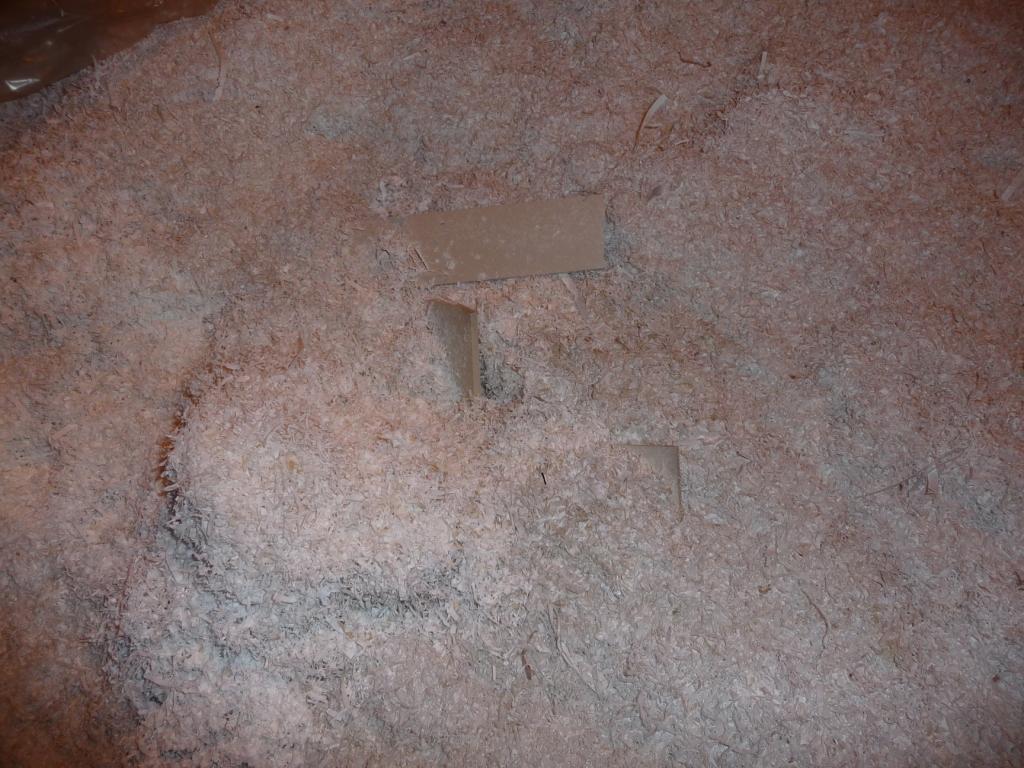 Phoenix Recycling, a midwest scrap PVC recycler, offers PVC Shavings